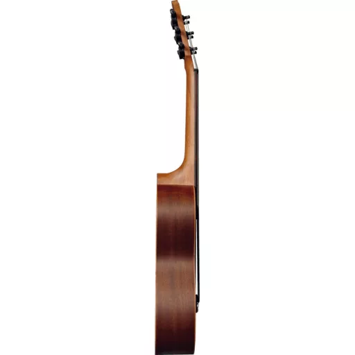 LAG TKT8 Guitalele