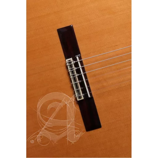 ALHAMBRA 7C Klasszikus Gitár Tokkal