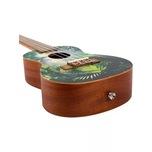 FLIGHT AUC 33 Jungle jungle Koncert Ukulele