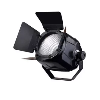 Fractal Lights PAR LED COB 100 W - 50 W WW + 50W PW