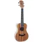 Arrow MH10 Mahogany PLUS Concert Ukulele w/bag - koncert ukulele táskával