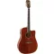 Arrow Platinium Elite D CE MH/MH Mahogany/Mahogany - elektroakusztikus gitár
