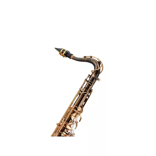 ANTIGUA Tenor szaxofon, fekete nikkel korpusz, arany lakkozott billentyűk, Canvas Form tokot tartalmaz