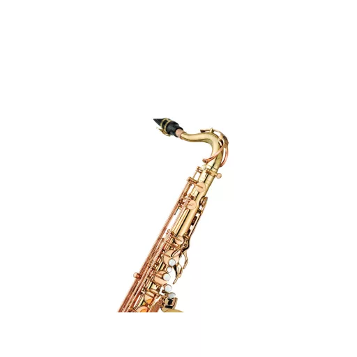 ANTIGUA Pro One Tenor Saxofon, Test & Billentyűk vintage arany lakkozás, incl. Canvas Form Case