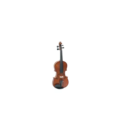 PIERRE MARIN VIOTTI 4/4 hegedű tokkal